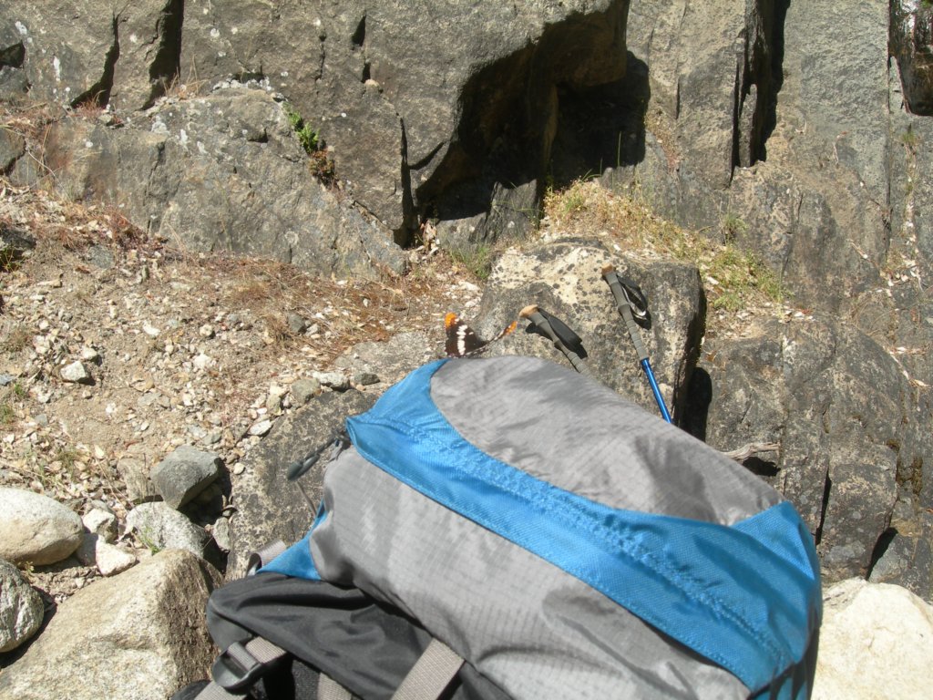 grandcanyon253.jpg