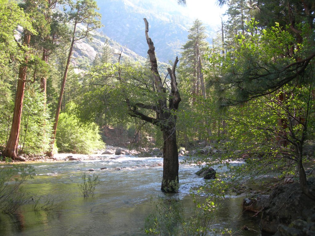 grandcanyon286.jpg
