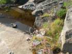grandcanyon310_small.jpg
