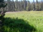 grandcanyon330_small.jpg