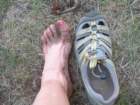grandcanyon339_small.jpg