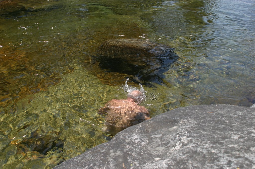 img_2621.jpg
