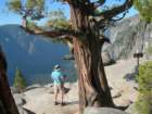 yosemitefalls082_small.jpg