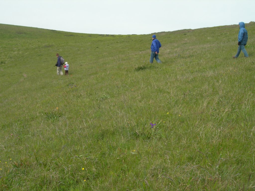 chimneyrock043.jpg