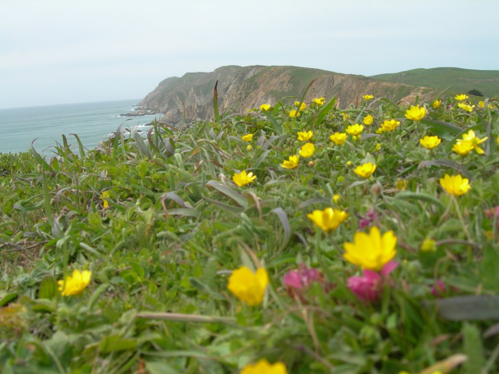 chimneyrock050.jpg