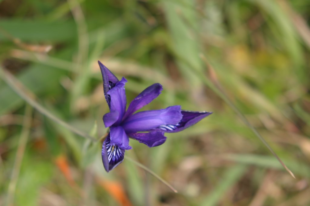 hike019.jpg