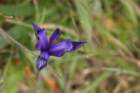 hike020_small.jpg