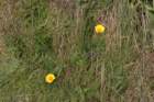 hike027_small.jpg