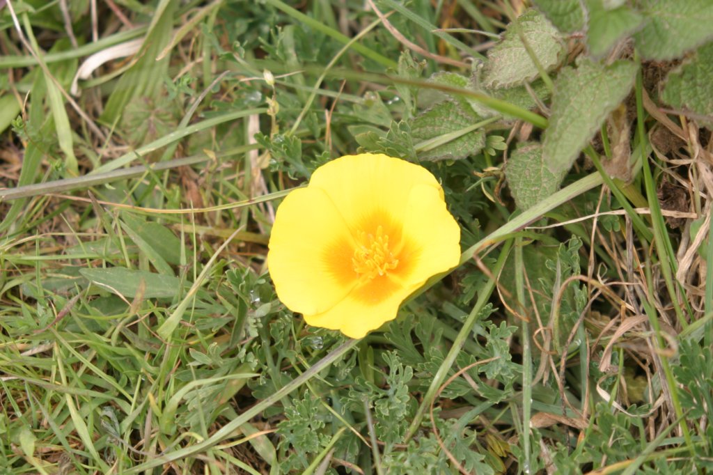 hike028.jpg