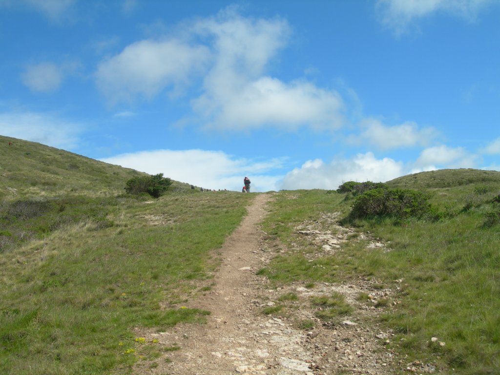 coastcamp046.jpg