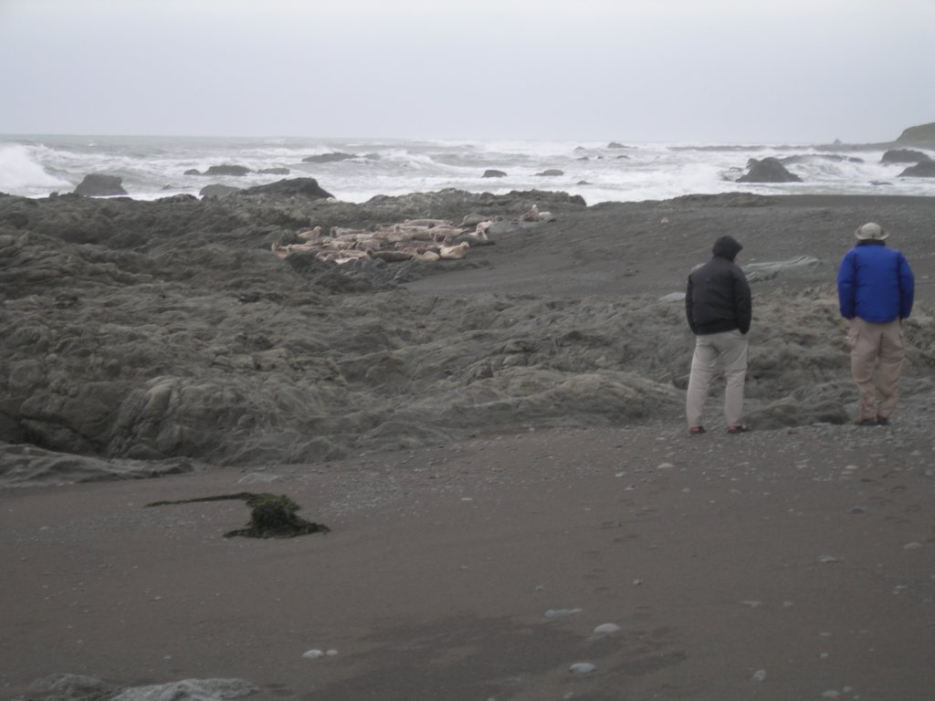 lostcoast2008_126.jpg
