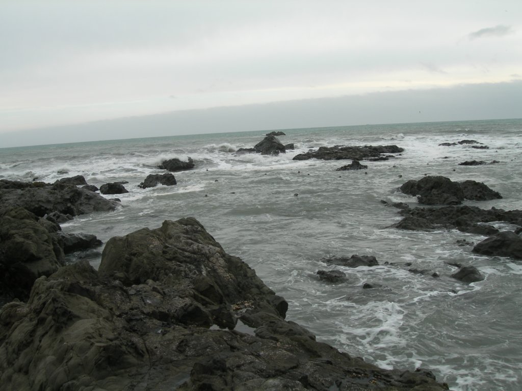lostcoast2008_132.jpg