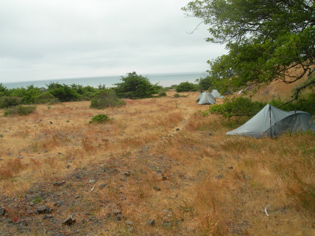 lostcoast2008_215.jpg