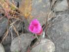lostcoast2008_220_small.jpg