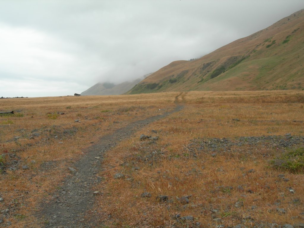 lostcoast2008_246.jpg
