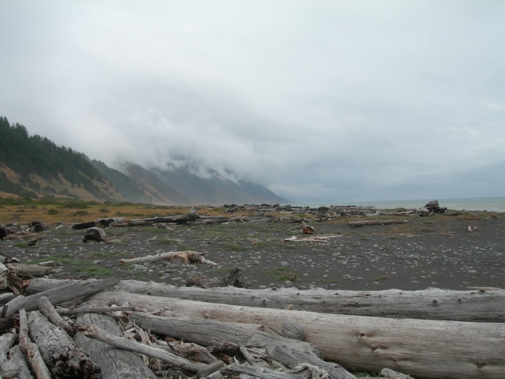 lostcoast2008_249.jpg