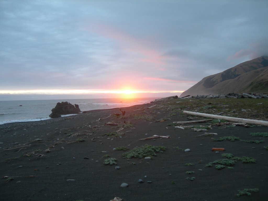 lostcoast2008_290.jpg