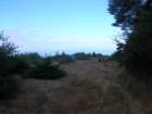 lostcoast2008_321_small.jpg