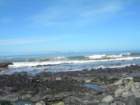lostcoast2008_369_small.jpg