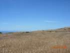 lostcoast2008_392_small.jpg