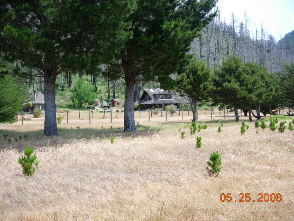 lostcoast2008_398.jpg