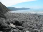 lostcoast2008_436_small.jpg