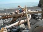 lostcoast2008_447_small.jpg