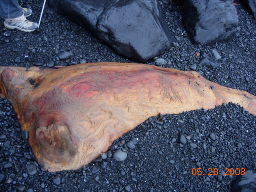 lostcoast2008_495.jpg