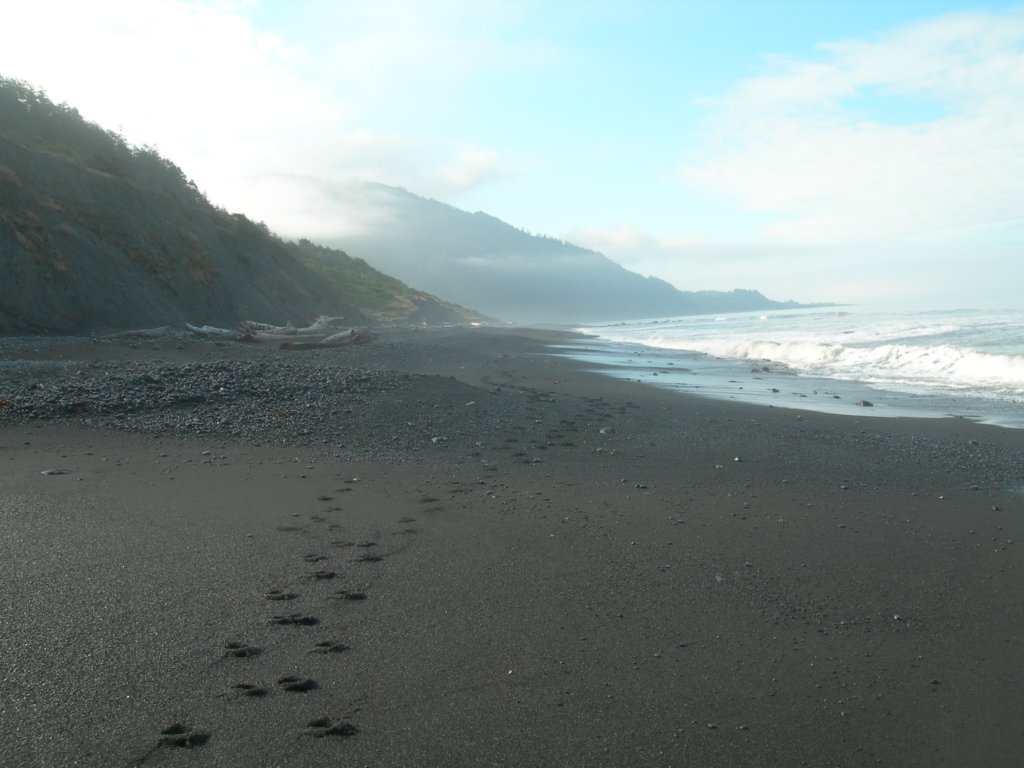 lostcoast2008_515.jpg