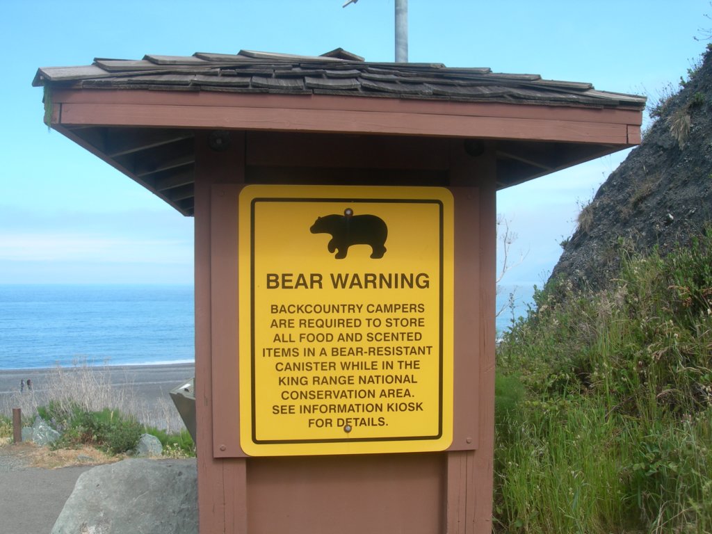 lostcoast2008_534.jpg