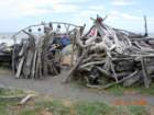 lostcoast2008_86_small.jpg