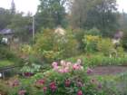 dscn7445_small.jpg