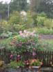 dscn7448_small.jpg