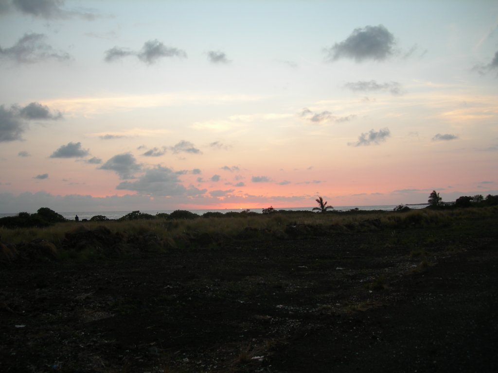 hawaii_sep08062.jpg