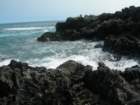 hawaii_sep08080_small.jpg