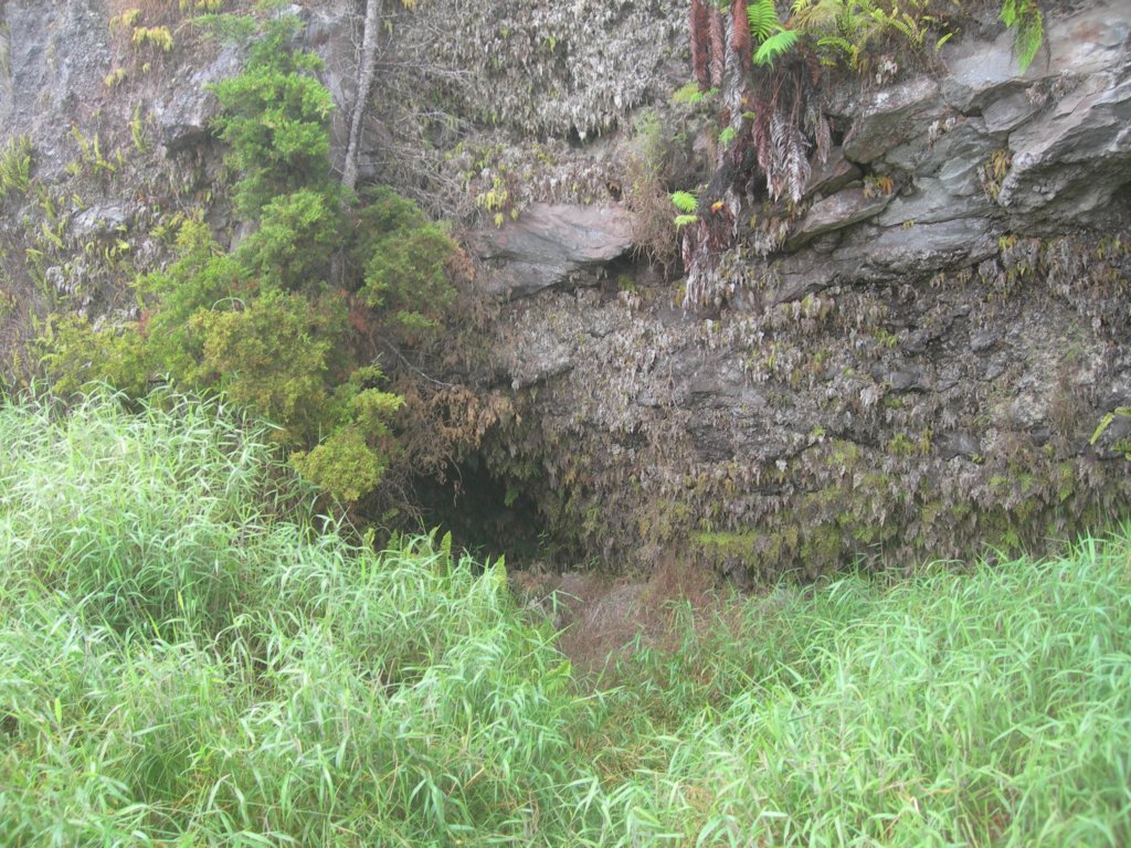hawaii_sep08110.jpg