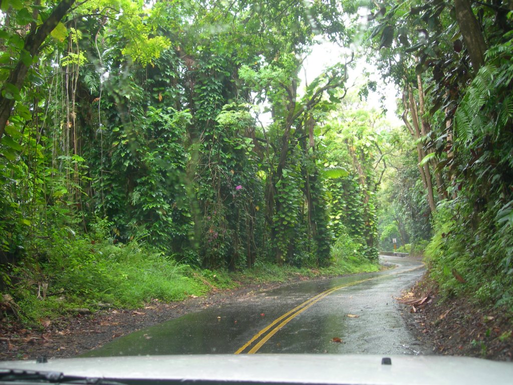 hawaii_sep08113.jpg