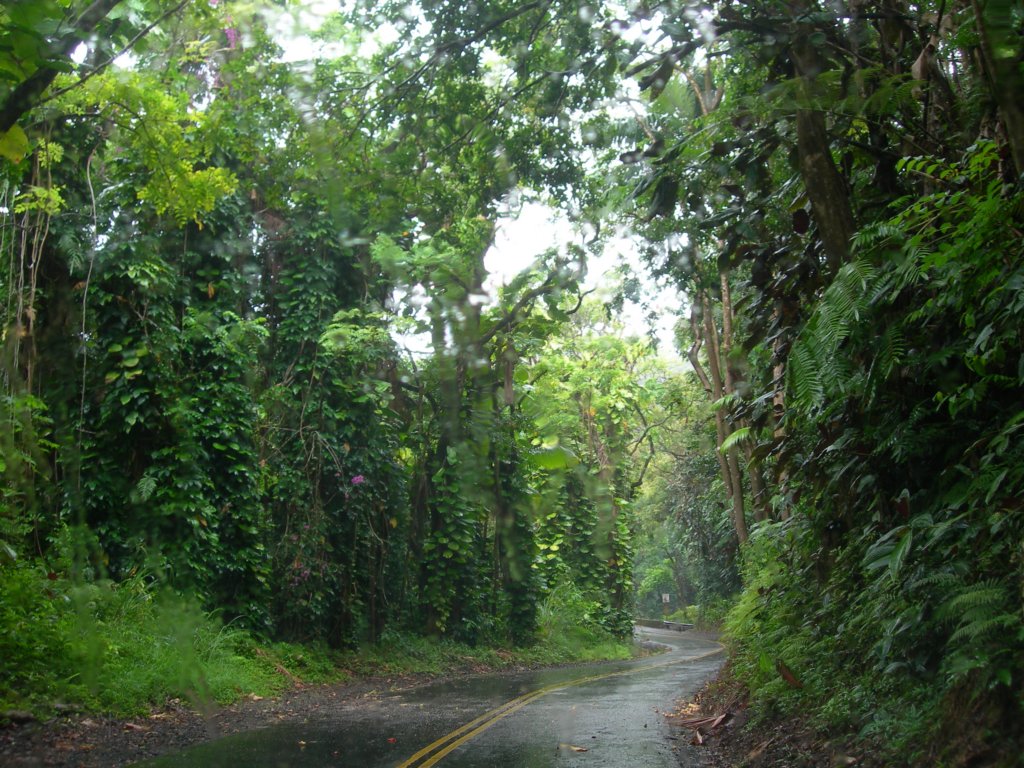 hawaii_sep08114.jpg