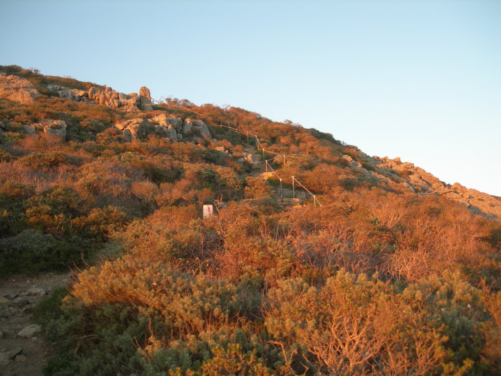 hill88058.jpg