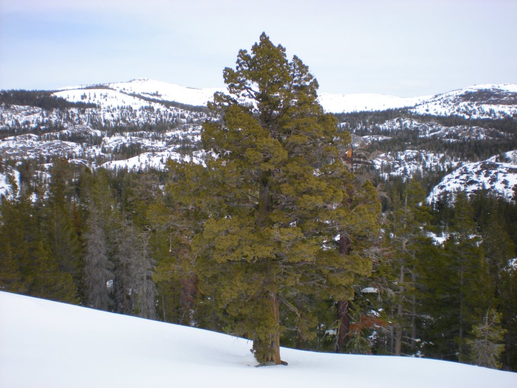 kirkwood_xc024.jpg