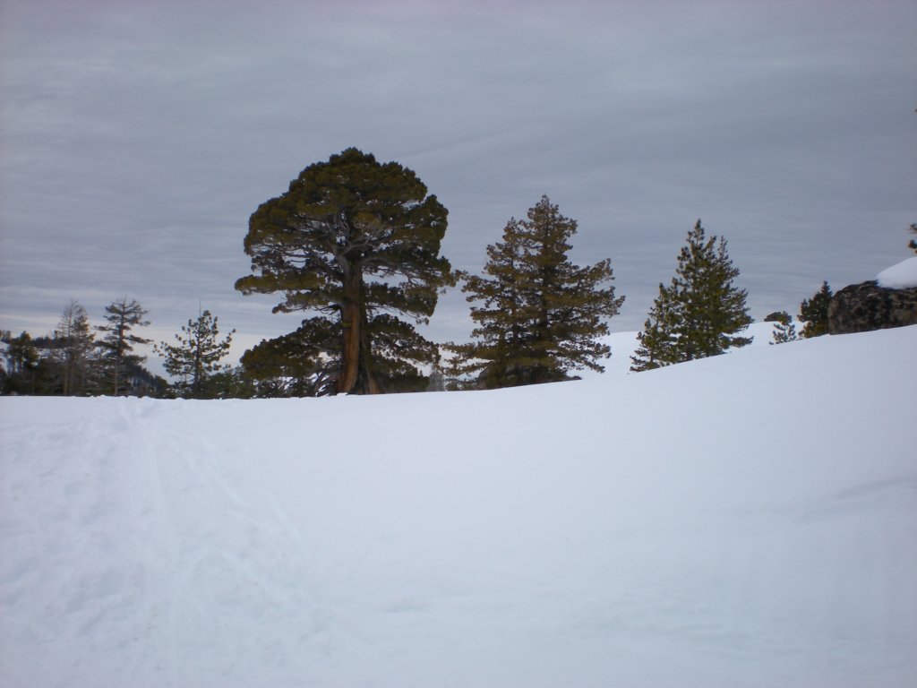 kirkwood_xc025.jpg