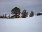 kirkwood_xc025_small.jpg