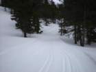 kirkwood_xc029_small.jpg