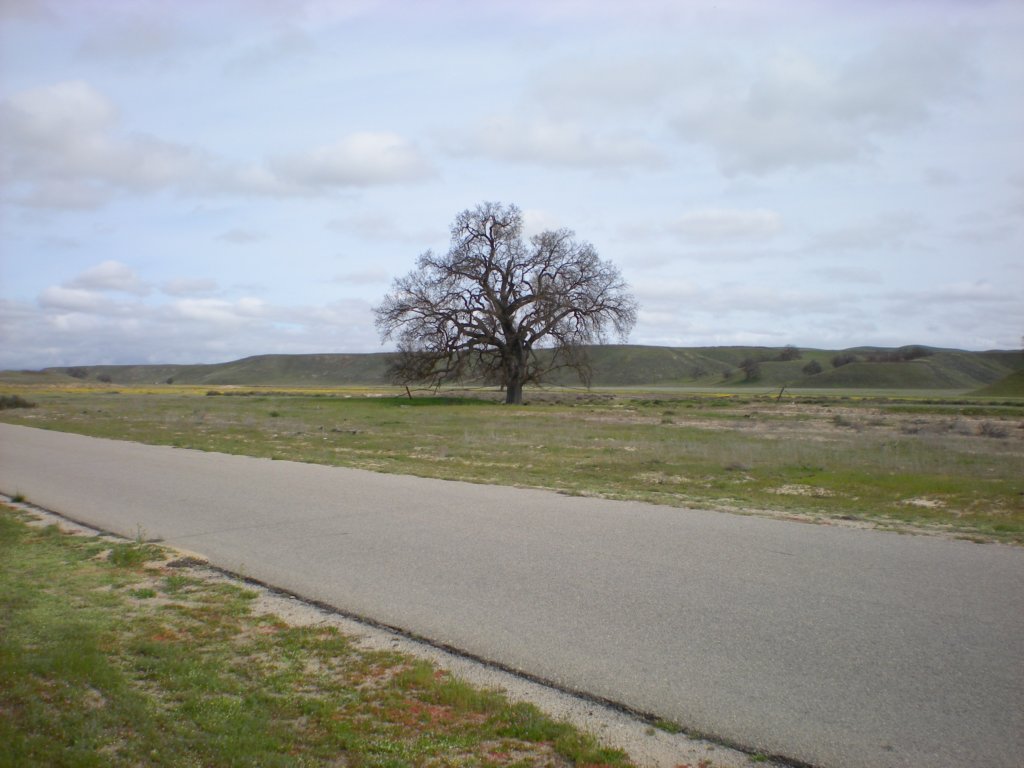 photo10.jpg