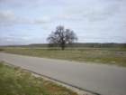 photo10_small.jpg