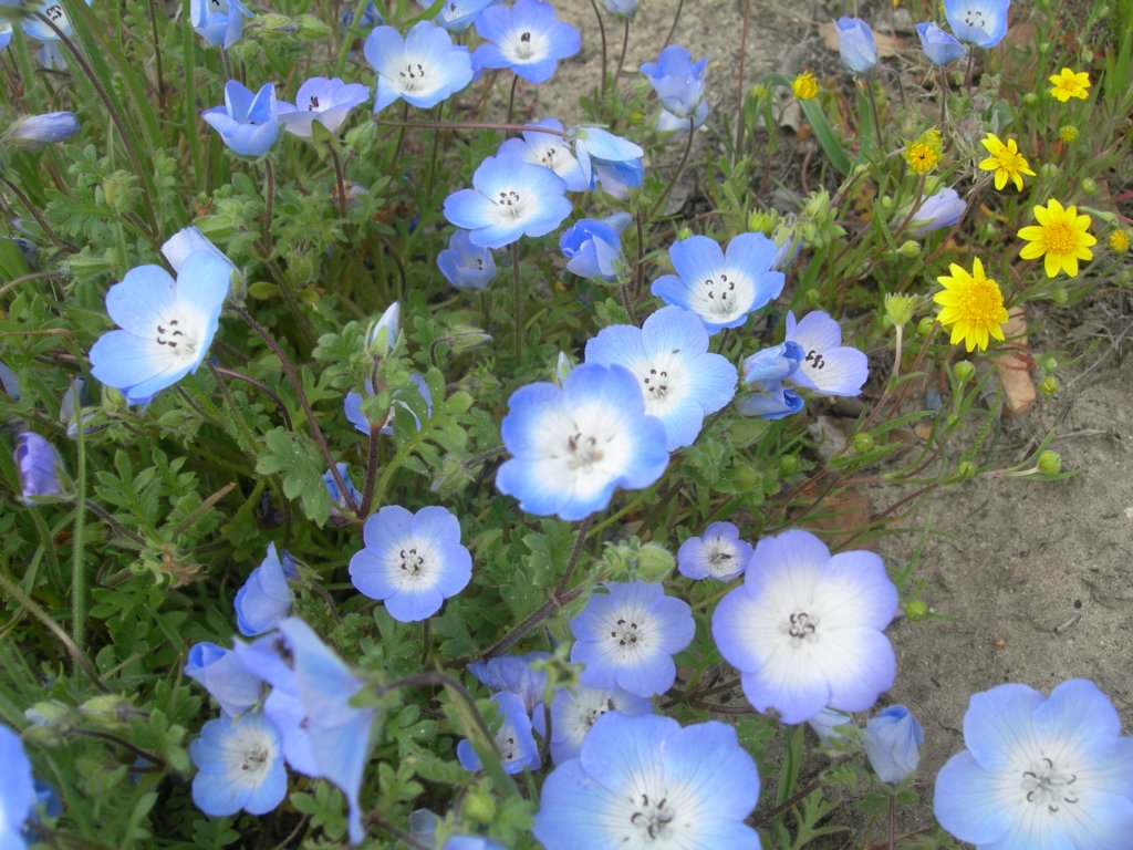 photo114.jpg