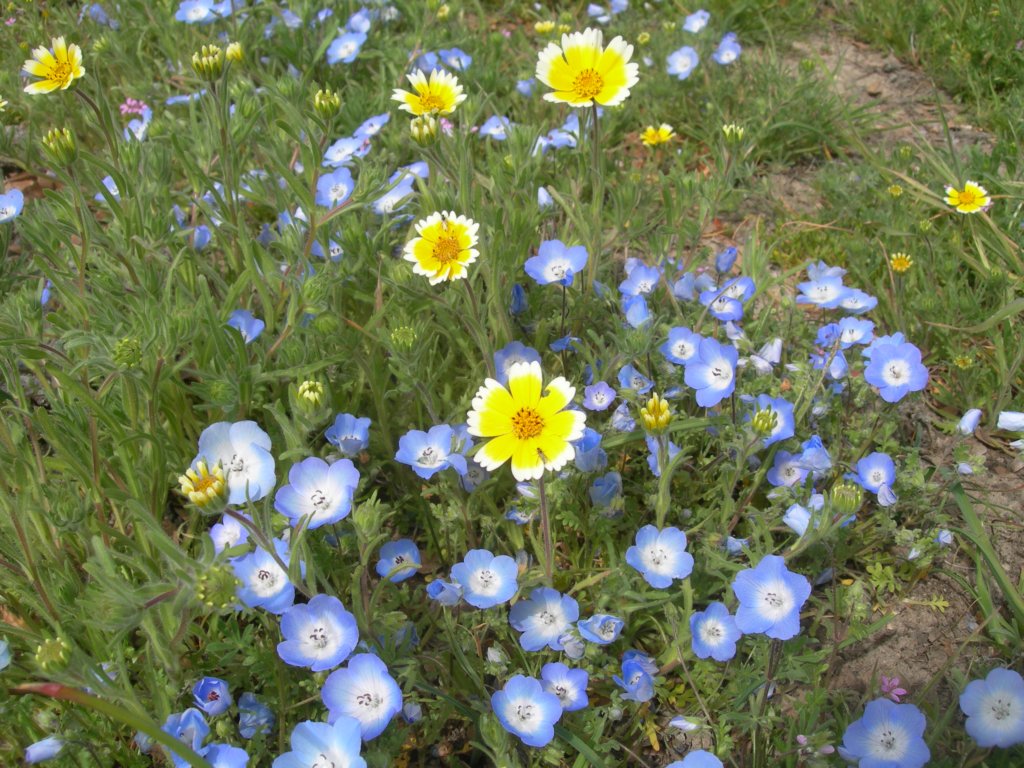 photo121.jpg