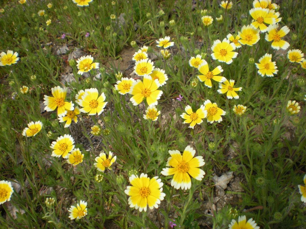 photo16.jpg