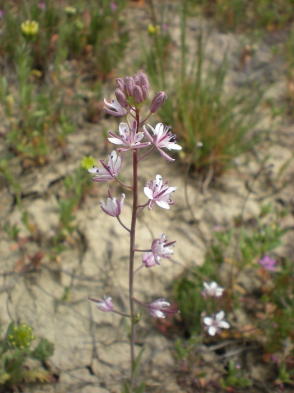 photo34.jpg