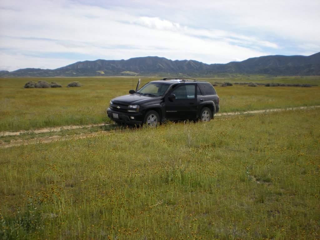 photo43.jpg